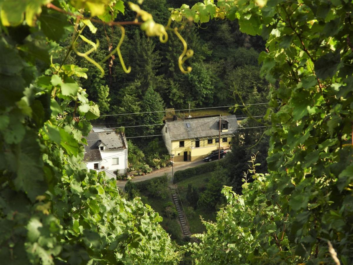 Villa Ferienhaus Meijer à Briedel Extérieur photo