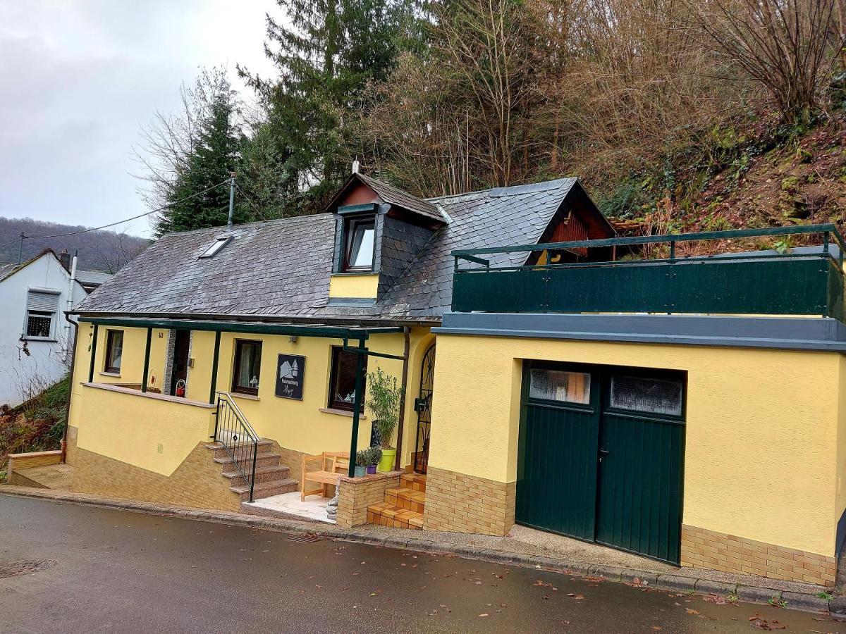 Villa Ferienhaus Meijer à Briedel Extérieur photo